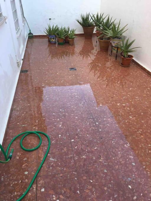 Casa Soleada En Calle Tranquila Sevilla Bagian luar foto