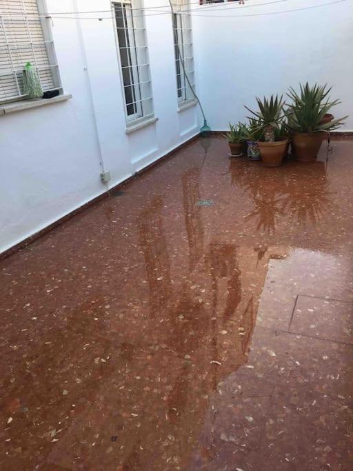 Casa Soleada En Calle Tranquila Sevilla Bagian luar foto