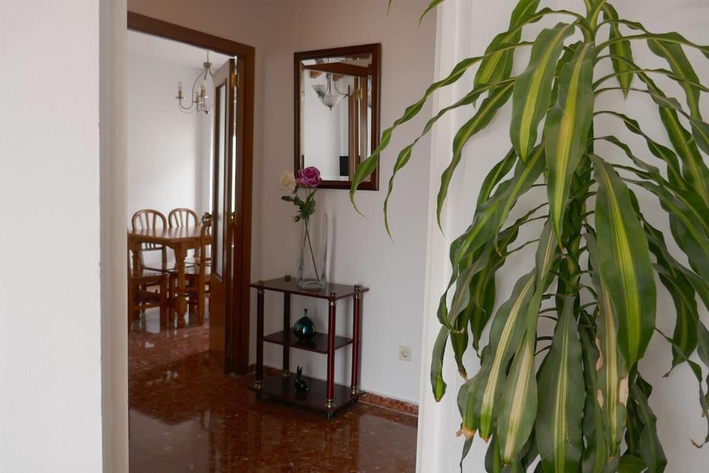 Casa Soleada En Calle Tranquila Sevilla Bagian luar foto